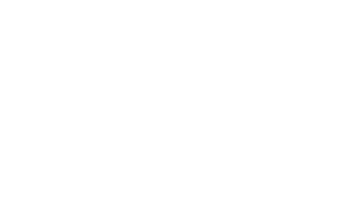Advantage Carpet Care Logo
